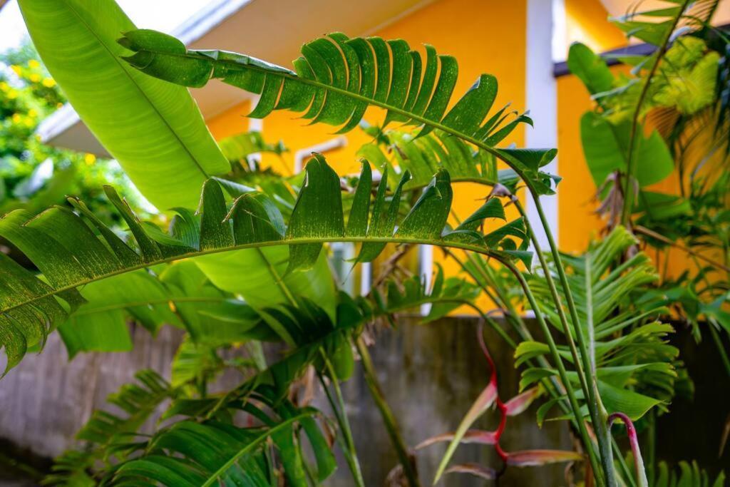 Little Yellow House- Aonang Ao Nang Exterior photo